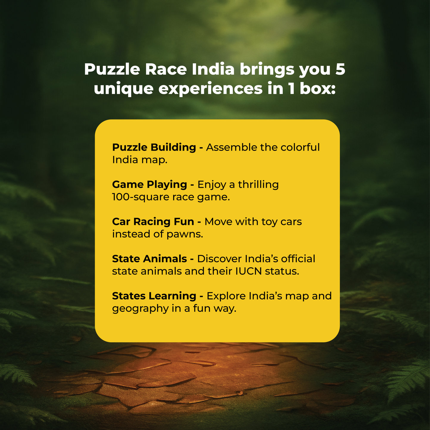 Puzzle Race India