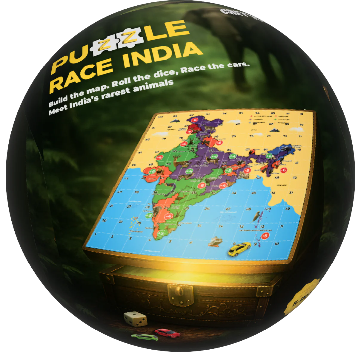 Puzzle Race India