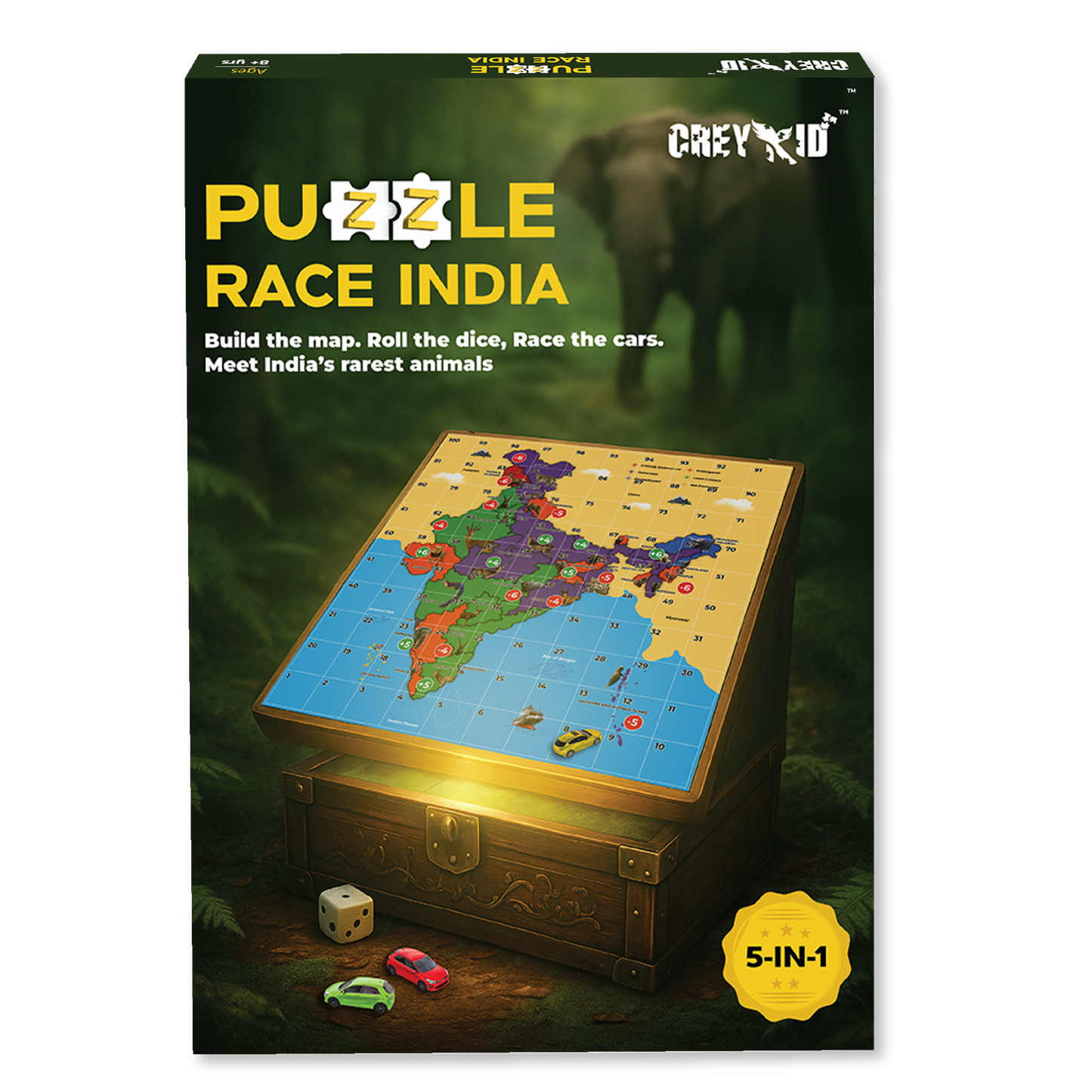 Puzzle Race India