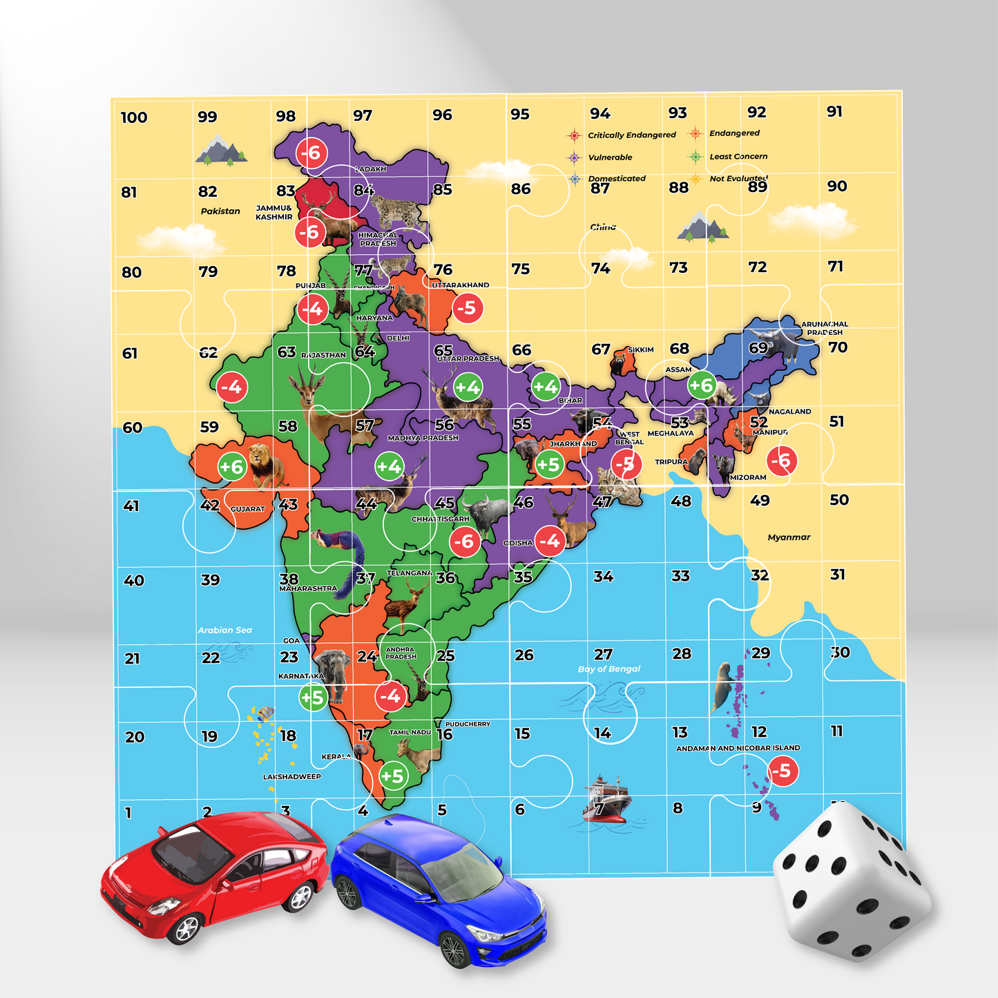 Puzzle Race India