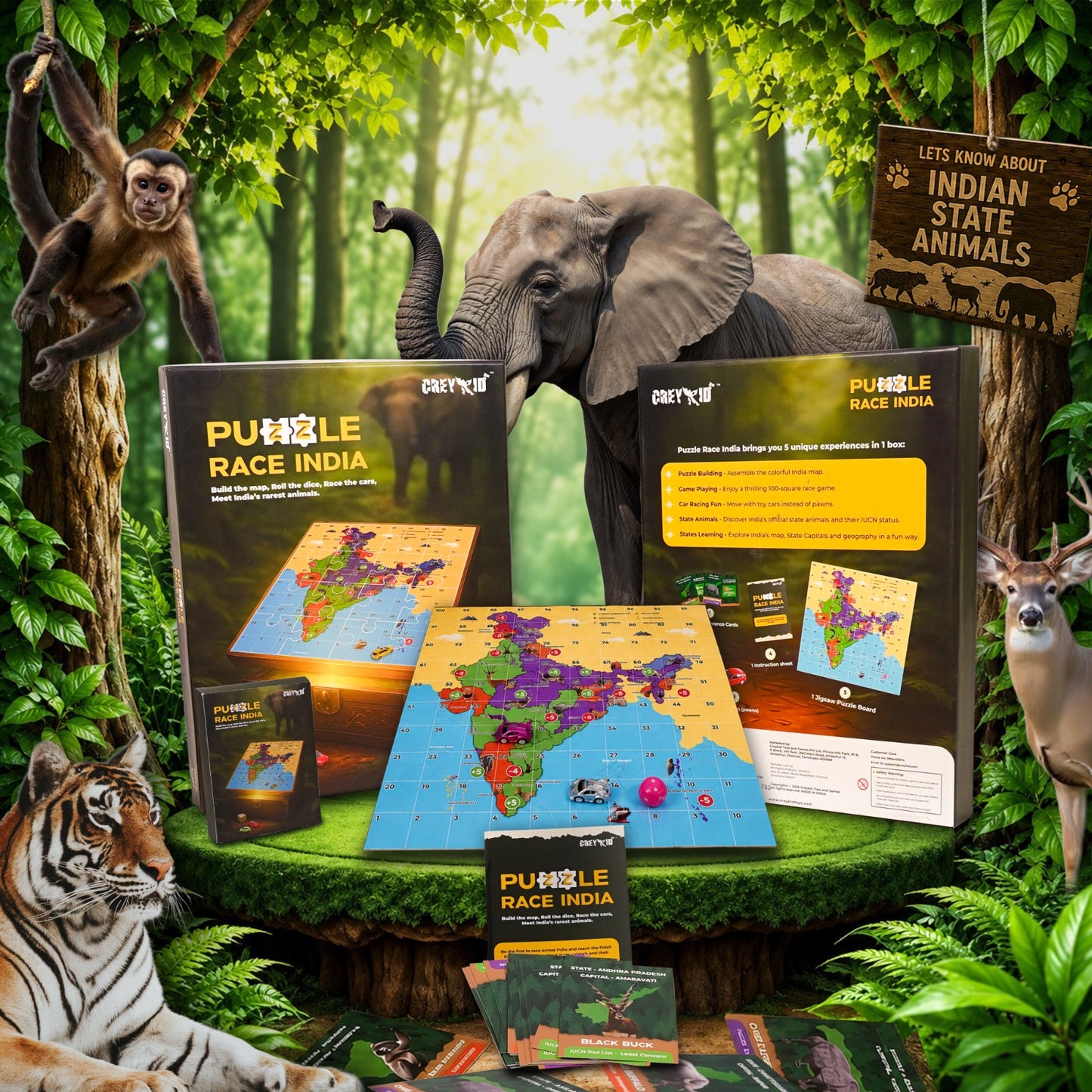 Puzzle Race India