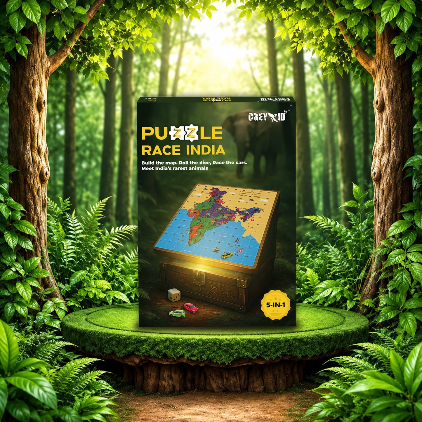 Puzzle Race India